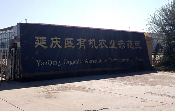 溫室大棚中使用臭氧發生器需要注意哪些問題(圖2) 溫室大棚中使用臭氧發生器需要注意哪些問題(圖2)